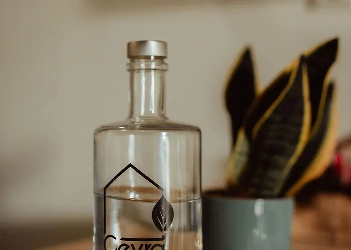 The Caravel 度假居